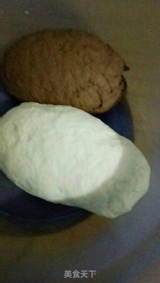 可可粉馒头的做法步骤:5