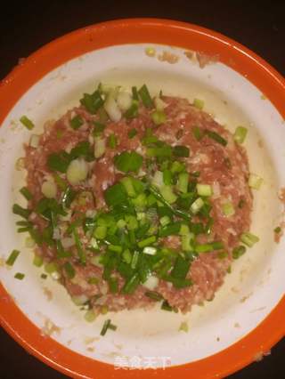 #鲜肉大馄饨的做法图解4