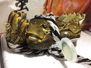 清蒸大闸蟹的做法步骤：1