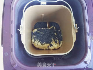 全麦芝麻餐包的做法步骤:8