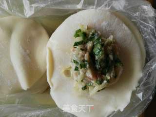箩卜馅饺子的做法步骤:11