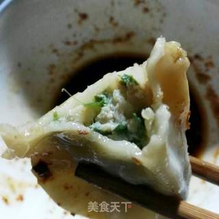箩卜馅饺子的做法步骤:17