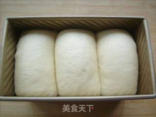 液种白吐司的做法步骤:10
