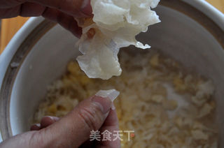 银耳冰糖梨糖水的做法步骤：2
