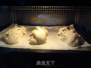 椰蓉提子面包的做法步骤:26
