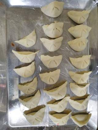 鸡肉榛蘑馅饺子的做法步骤：4