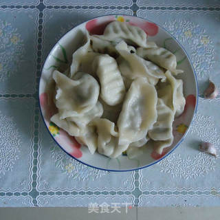 茴香猪肉水饺的做法步骤:7