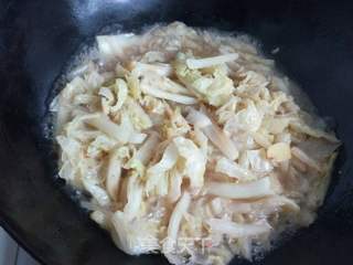 白菜炖粉条冻豆腐的做法步骤:8