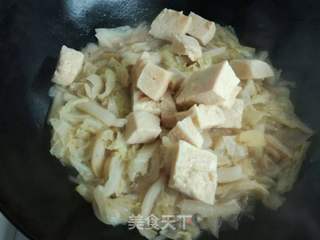 白菜炖粉条冻豆腐的做法步骤:9