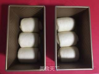 牛奶吐司/中种法的做法步骤:9
