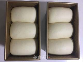 牛奶吐司/中种法的做法步骤:10