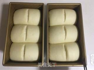 牛奶吐司/中种法的做法步骤:11