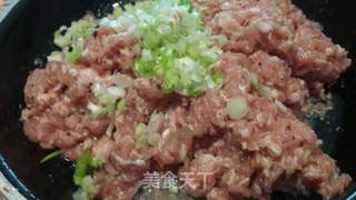 青笋鲜肉饺的做法步骤：4