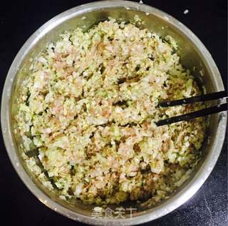 鸡肉白菜水饺的做法步骤:6