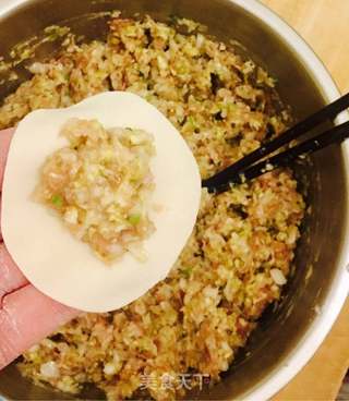 鸡肉白菜水饺的做法步骤:8