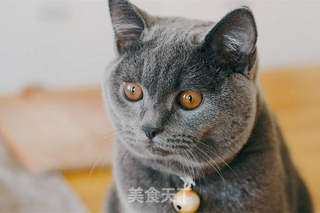 趁热喝下一碗土豆番茄浓汤的做法步骤:8