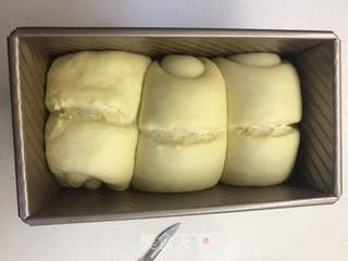 详细版波兰种奶油吐司?的做法步骤:14