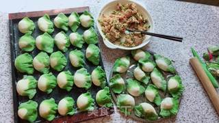 翡翠白菜饺子的做法步骤:13