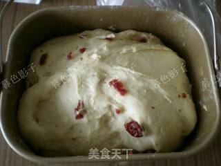 蔓越莓卷包的做法步骤:5