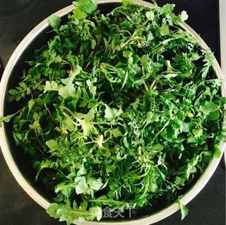 荠菜猪肉水饺的做法步骤:5
