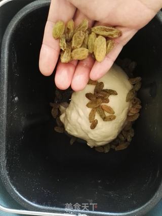 葡萄干老面包的做法步骤:7