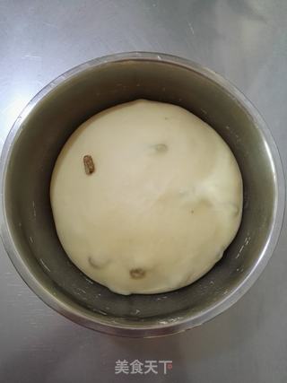 葡萄干老面包的做法步骤:9