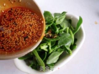 凉拌穿心莲的做法步骤:7