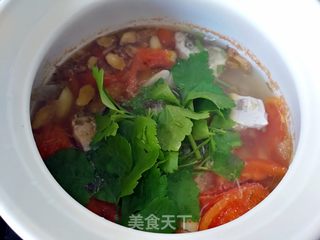 西红柿秋刀鱼汤的做法步骤:15