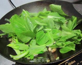 【香菇油菜】--孕妈咪15周菜谱的做法步骤:6
