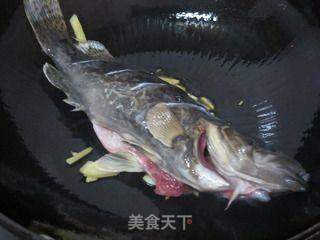 红烧野鳜鱼的做法步骤:8