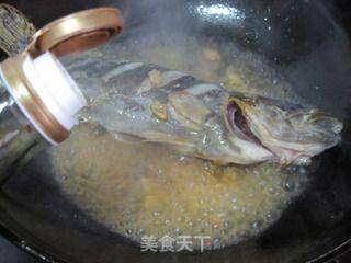 红烧野鳜鱼的做法步骤:11