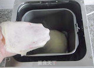 【原味小排包】--- 周末带着孩子观春色的做法步骤:6
