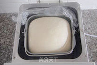 【原味小排包】--- 周末带着孩子观春色的做法步骤:7
