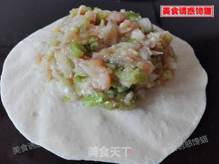 白菜肉包的做法步骤:6