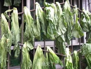 家庭自制酸菜——健康又美味的做法步骤:3