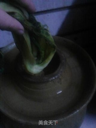 家庭自制酸菜——健康又美味的做法步骤:8
