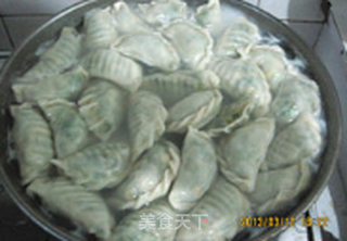 出九的韭(九)菜馅饺子----如何调韭菜馅不出水?的做法步骤:22