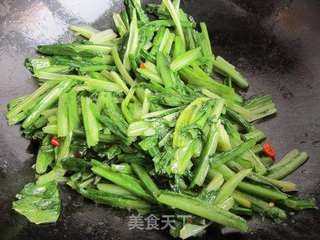 蚝油油麦菜的做法步骤:7