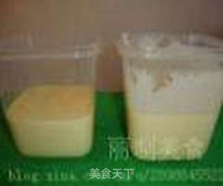 芒果冰淇淋的做法步骤:16
