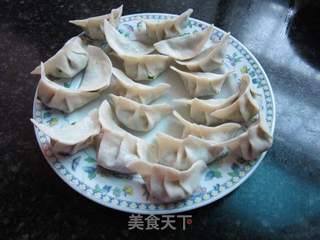 水焖煎饺的做法步骤：8