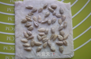 瓜子酥派的做法步骤:4