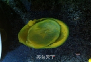 夏日芒果汁的做法步骤:3