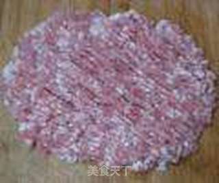 电饭煲发面版--香煎肉饼的做法步骤:4