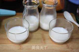【木瓜椰奶冻】——美容养颜小甜点的做法步骤:4