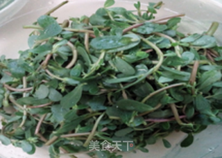 凉拌酸辣马齿苋的做法步骤：1