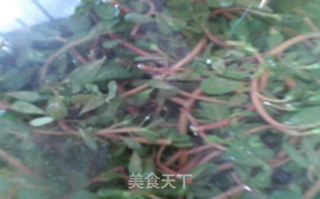 凉拌酸辣马齿苋的做法步骤：3