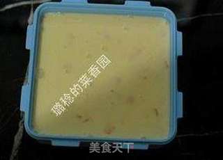 酸甜不腻、齿颊留香的【酸奶芒果冰淇淋】的做法步骤:13