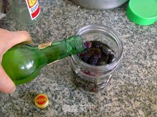 桑葚酒的做法步骤:8
