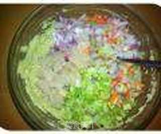 健康饮食-脂肪肝-豆渣绿豆五彩饼的做法步骤:8
