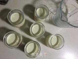 自制奶粉酸奶/烤箱版的做法步骤:6